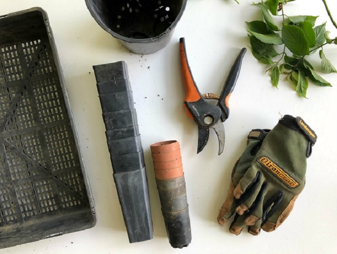 required tools for garden